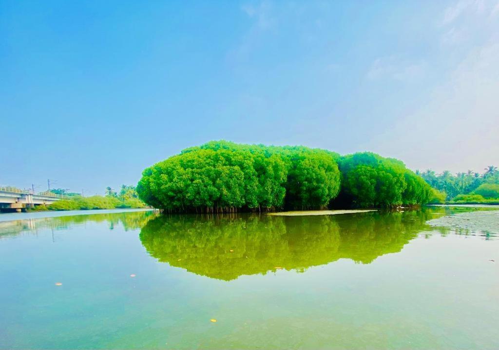 Green Island Homestay Riverside Kozhikode Dış mekan fotoğraf