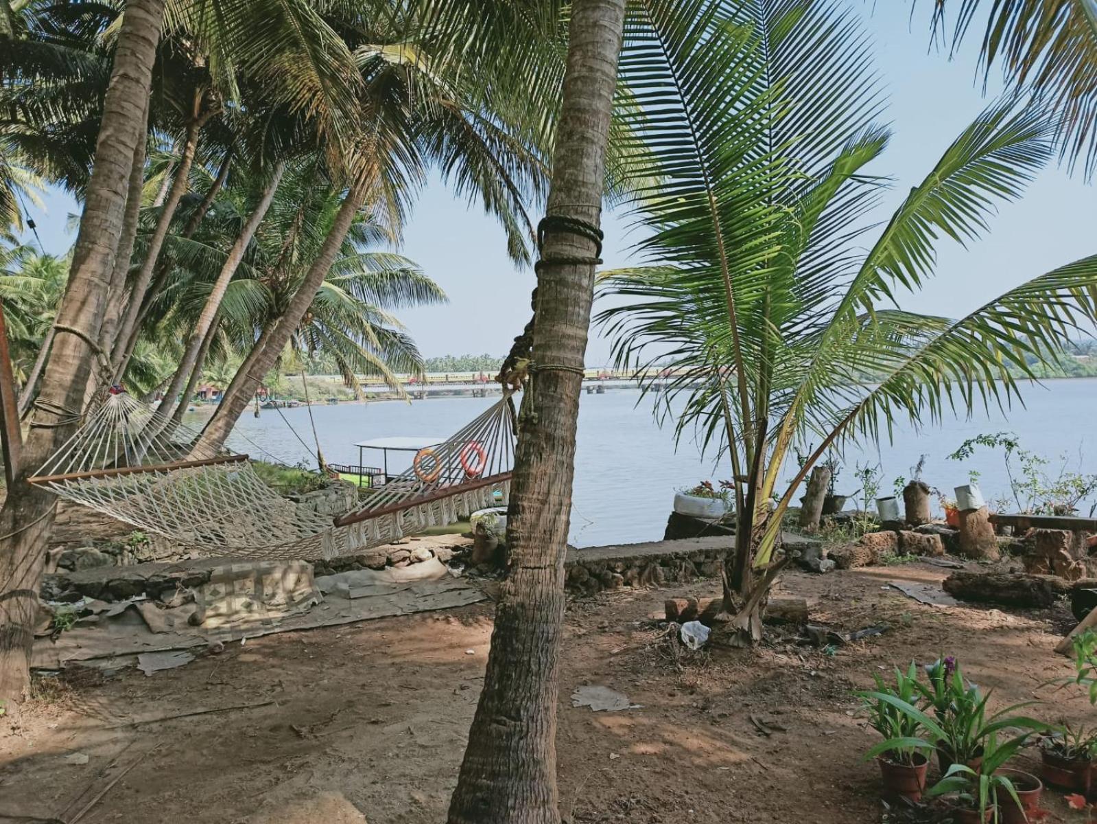 Green Island Homestay Riverside Kozhikode Dış mekan fotoğraf